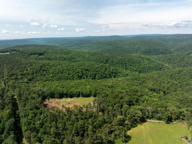 Land for sale in Clinton, Van Buren County