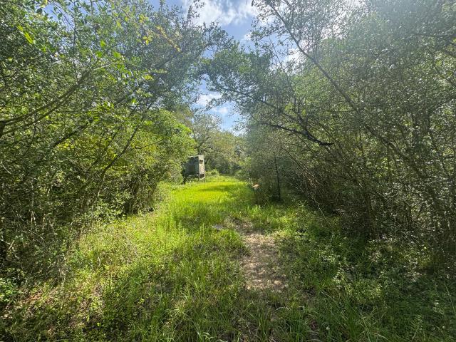 Land for sale in Wharton, Texas