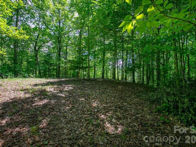Land for sale in Transylvania, North Carolina