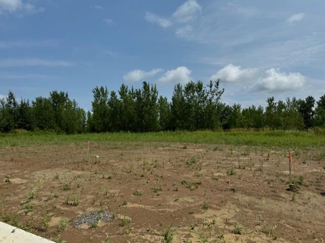 Land for sale in Rush City, Minnesota