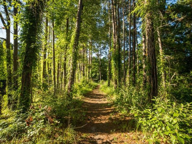 Land for sale in Texas Grand Ranch, Huntsville