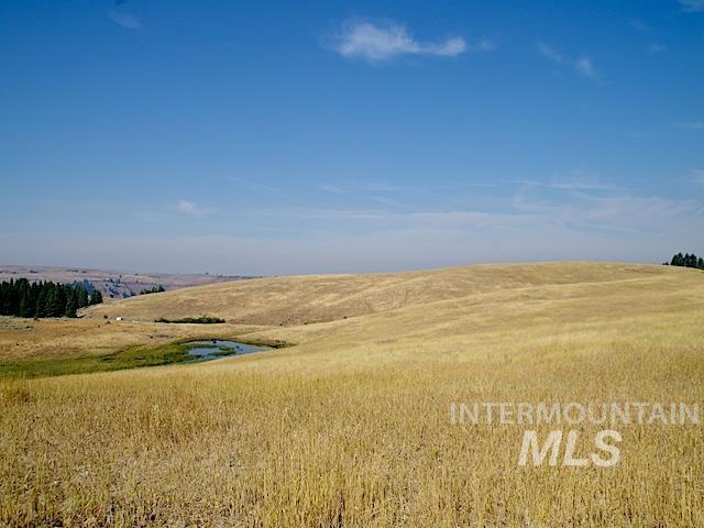 Land for sale in Council, Idaho