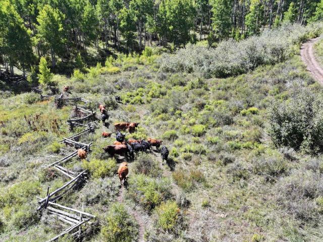 Land for sale in Whitewater, Colorado
