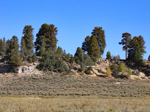 Property for sale in Whitewater, Colorado