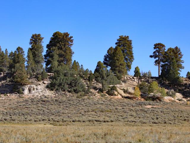Land for sale in Whitewater, Colorado