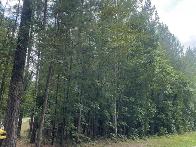 Land for sale in Virginia