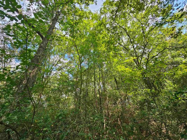 Land for sale in Ark