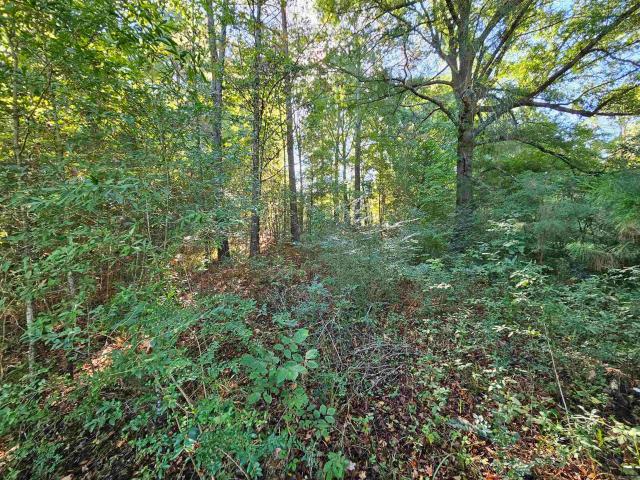 Land for sale in Ark