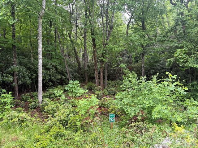 Land for sale in Spruce Pine, North Carolina