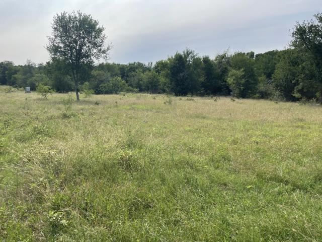 Land for sale in Bartlett, Texas