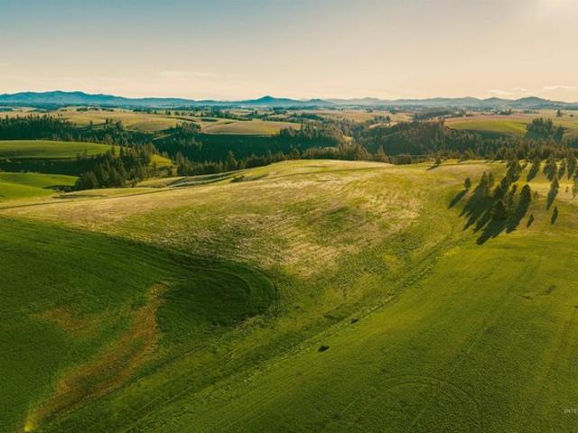 Land for sale in Troy, Idaho