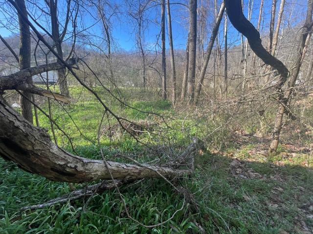 Land for sale in Virginia
