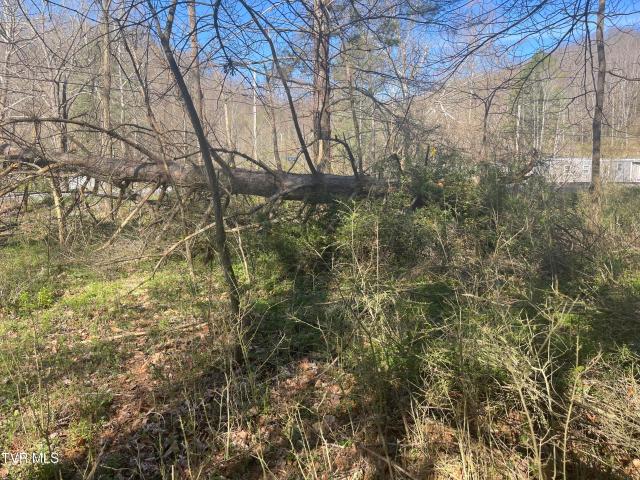 Land for sale in Virginia