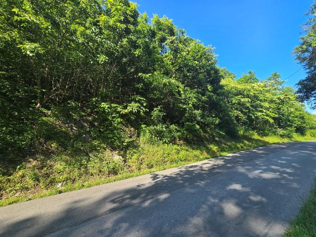 Land for sale in Virginia