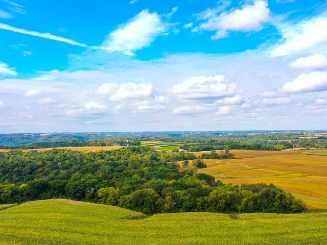Land for sale in Money Creek Township, Houston County