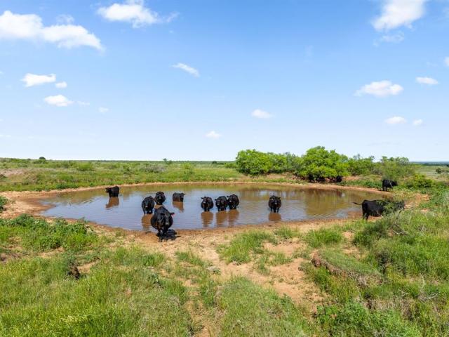 Land for sale in Clay, Texas