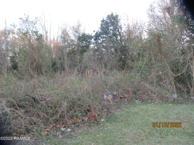 Land for sale in Iberia, Louisiana