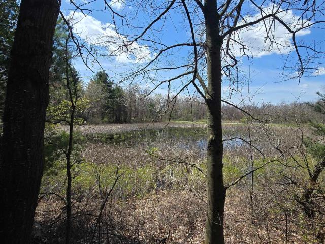 Land for sale in Michigan