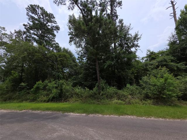 Land for sale in Polk, Texas