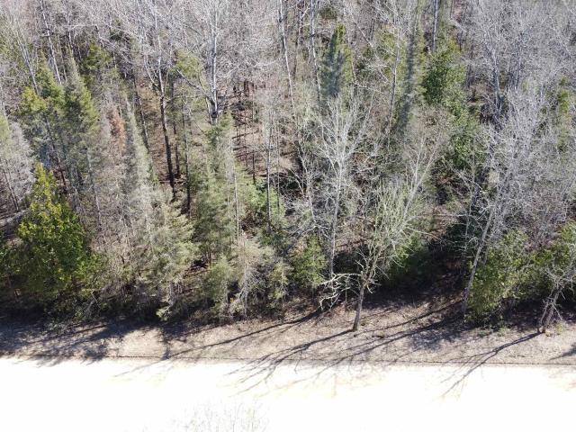 Land for sale in Michigan