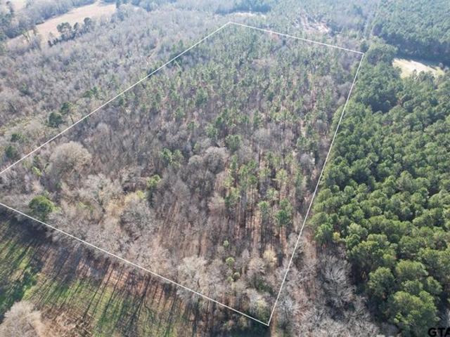 Land for sale in Panola, Texas