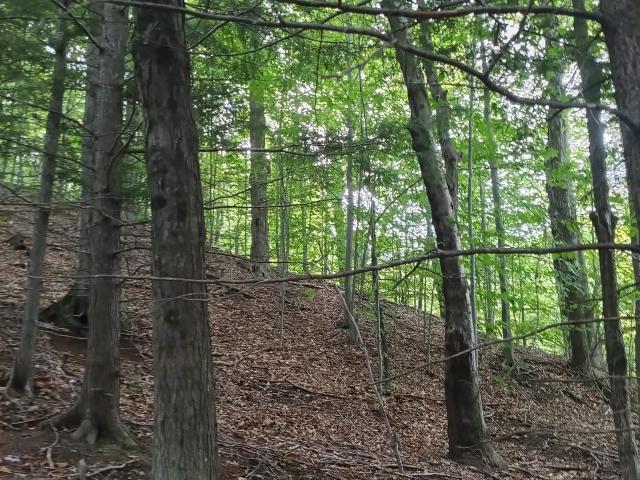 Land for sale in Boyne Valley Township, Charlevoix County