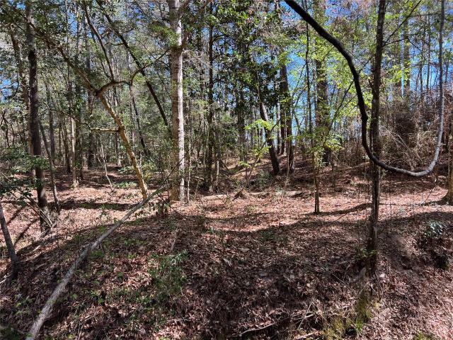 Land for sale in Polk, Texas