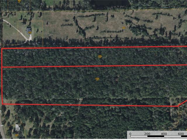 Land for sale in Polk, Texas