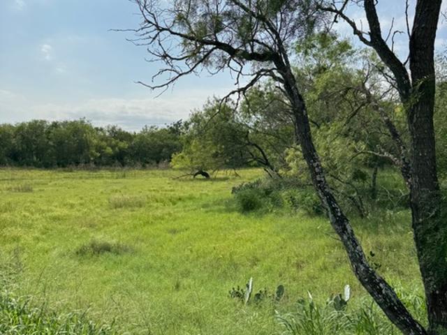 Land for sale in Poteet, Texas