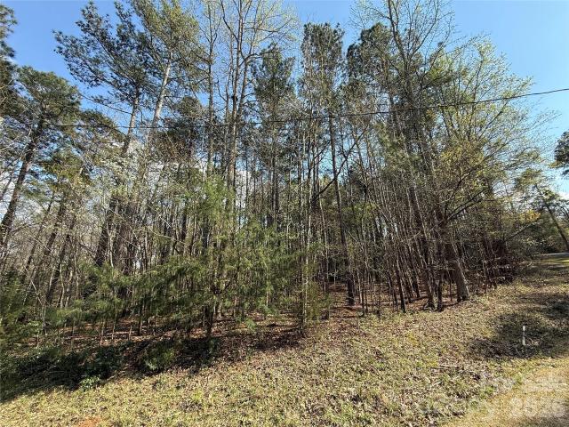 Land for sale in Wadesboro, North Carolina