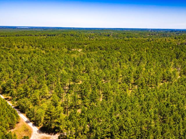 Land for sale in Trinity, Trinity County