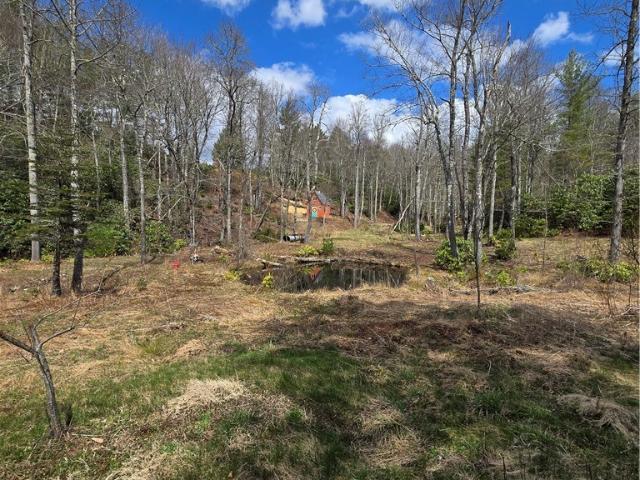 Land for sale in Newland, North Carolina