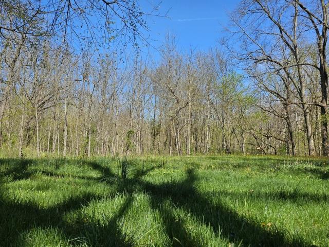 Land for sale in Virginia