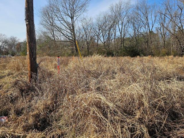 Land for sale in Woodland, North Carolina