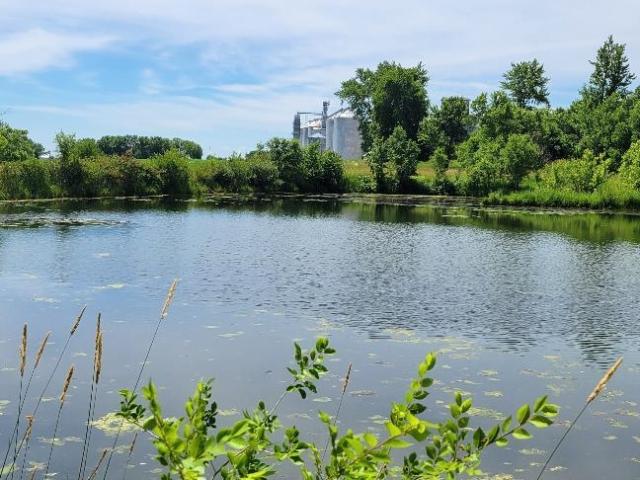 Land for sale in Baileyville, Illinois