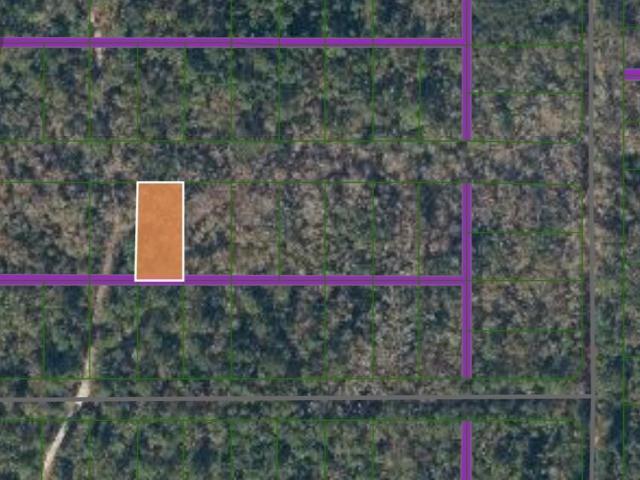 Land for sale in Palatka, Florida