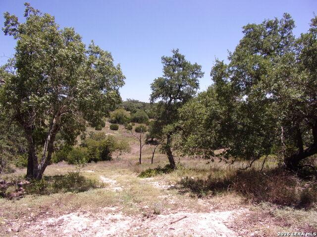 Land for sale in Blanco, Texas