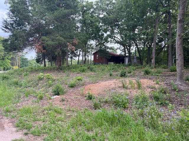 Land for sale in Ben Wheeler, Texas