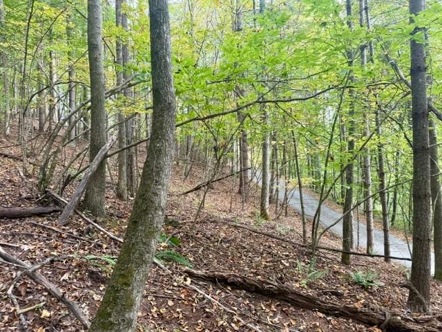 Land for sale in Weavers Ford, Ashe County