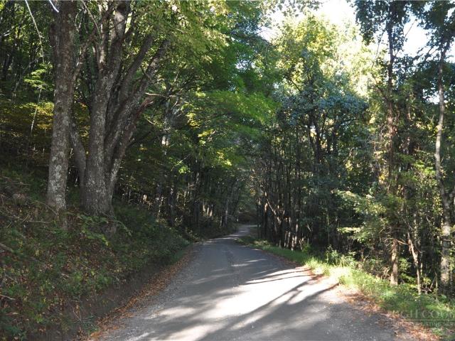 Land for sale in Lansing, Ashe County