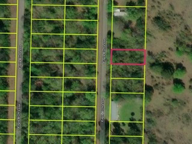 Land for sale in Avinger, Texas