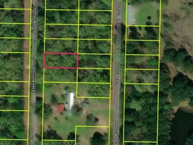 Land for sale in Avinger, Texas