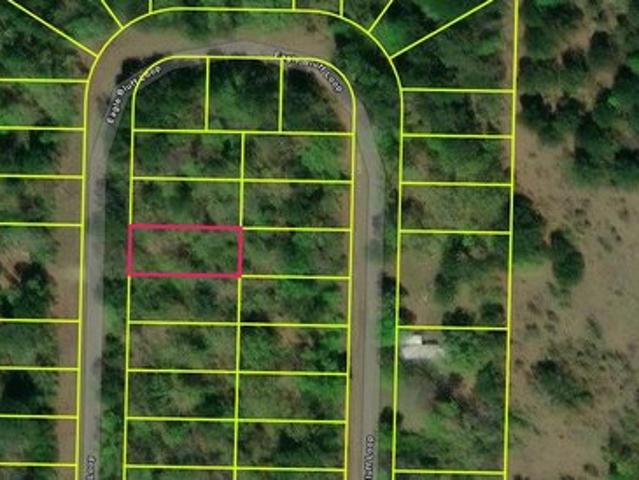 Land for sale in Avinger, Texas
