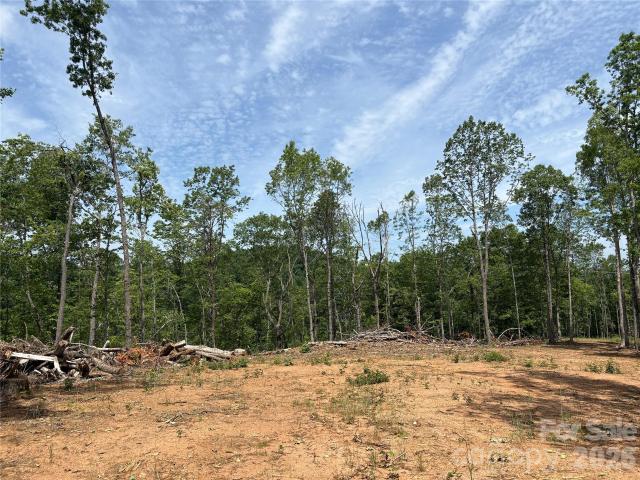 Land for sale in Saluda, North Carolina