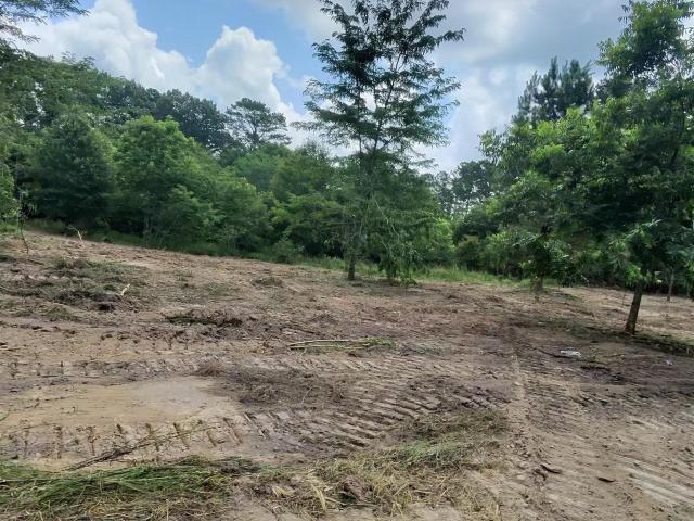 Land for sale in Ark