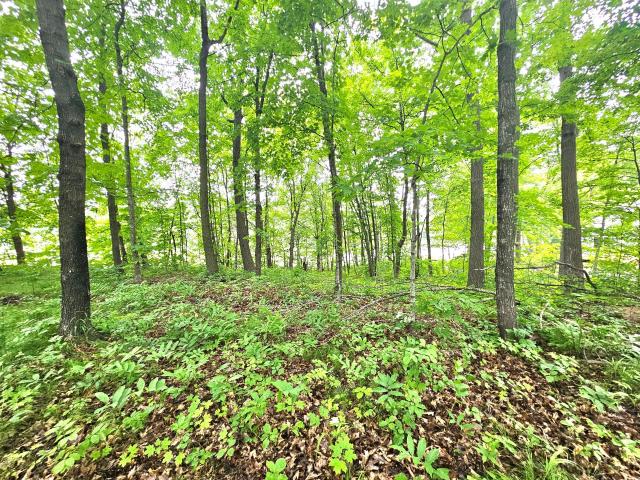 Land for sale in Isle, Minnesota
