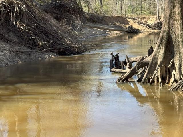 Land for sale in Harrison, Texas