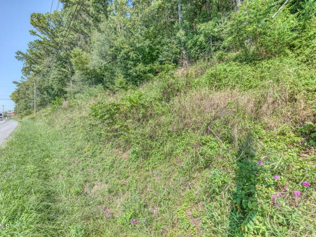 Land for sale in Jonesborough, East Tennessee