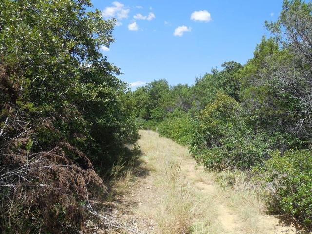 Land for sale in Ranger, Texas