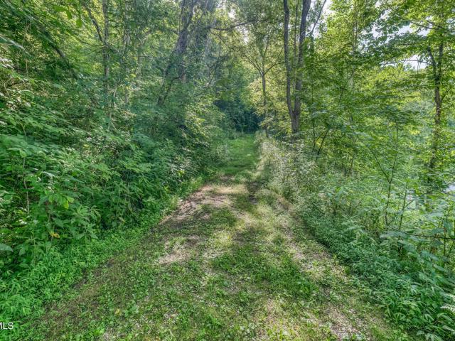 Land for sale in Tennessee
